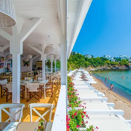 Flores Garden Beach Apartament Czernomorec